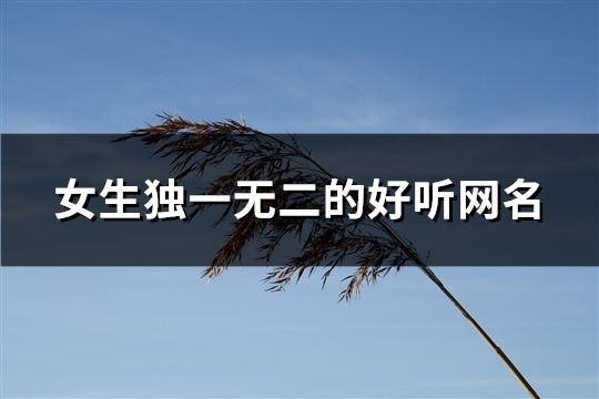 女生独一无二的好听网名(61个)