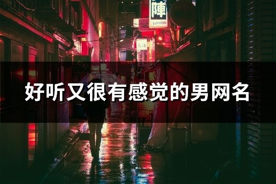 好听又很有感觉的男网名(共153个)