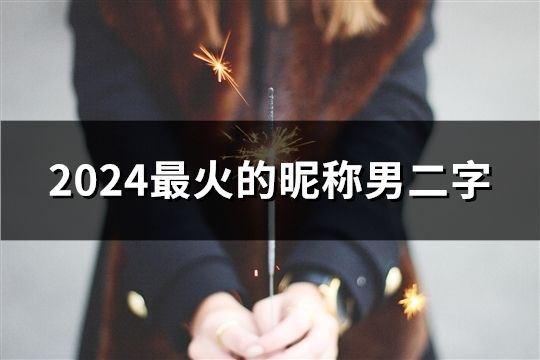 2024最火的昵称男二字(30个)