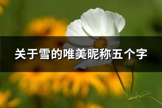 关于雪的唯美昵称五个字(共60个)