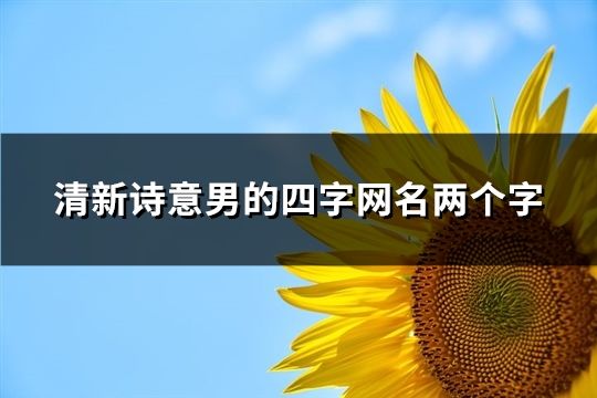 清新诗意男的四字网名两个字(共43个)