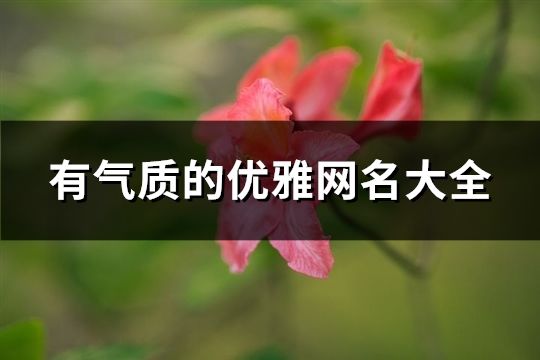 有气质的优雅网名大全(精选110个)