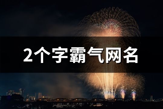 2个字霸气网名(共111个)