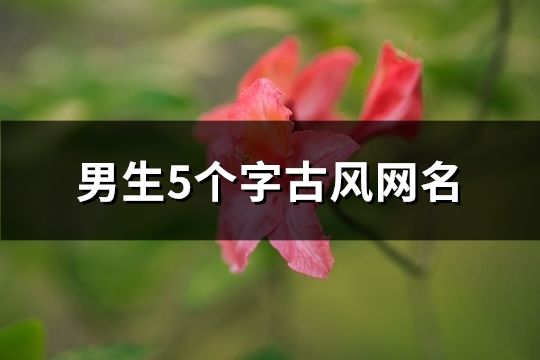 男生5个字古风网名(共189个)