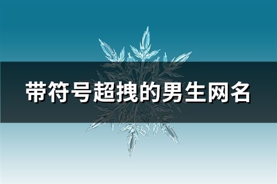 带符号超拽的男生网名(106个)