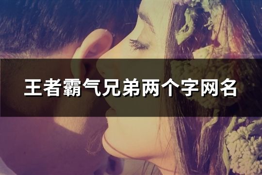 王者霸气兄弟两个字网名(65对)
