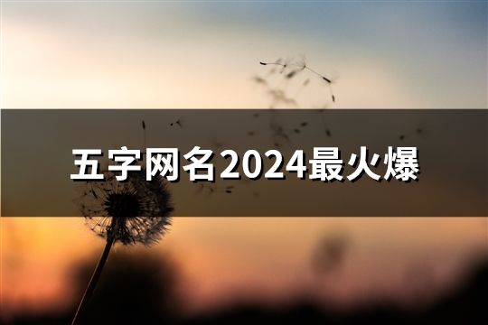 五字网名2024最火爆(共43个)