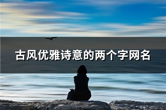 古风优雅诗意的两个字网名(共100个)