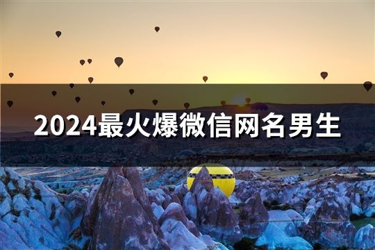 2024最火爆微信网名男生(42个)