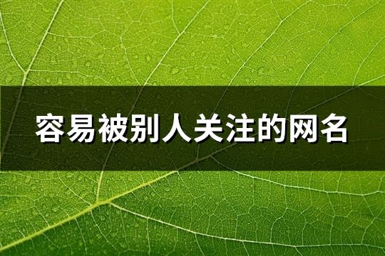 容易被别人关注的网名(精选34个)