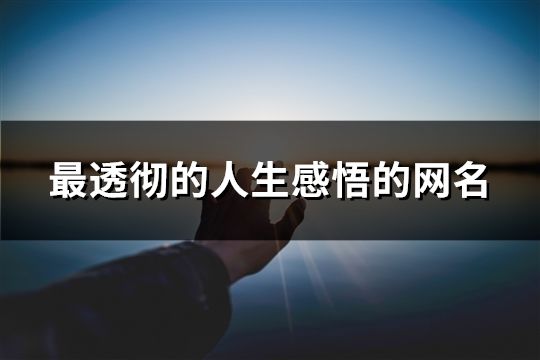 最透彻的人生感悟的网名(精选60个)