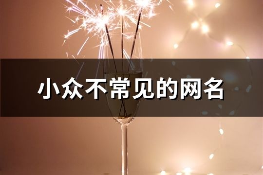 小众不常见的网名(精选52个)
