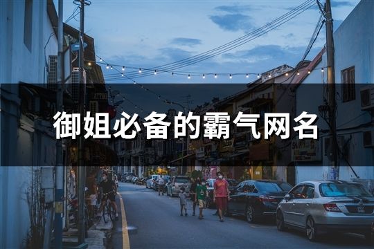 御姐必备的霸气网名(共173个)