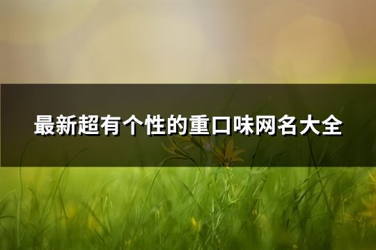 最新超有个性的重口味网名大全(共79个)