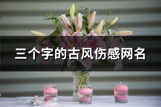 三个字的古风伤感网名(精选153个)