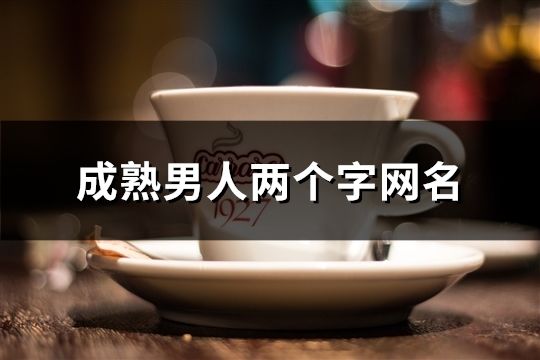 成熟男人两个字网名(共73个)