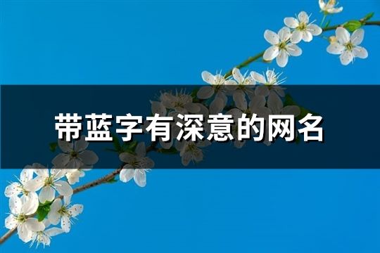 带蓝字有深意的网名(175个)