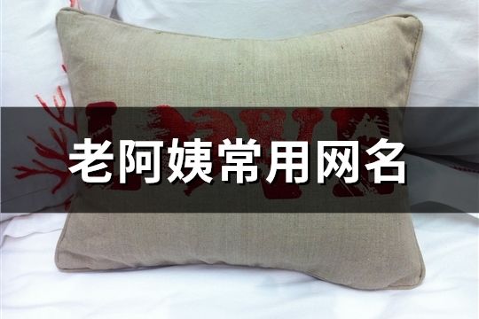 老阿姨常用网名(精选79个)