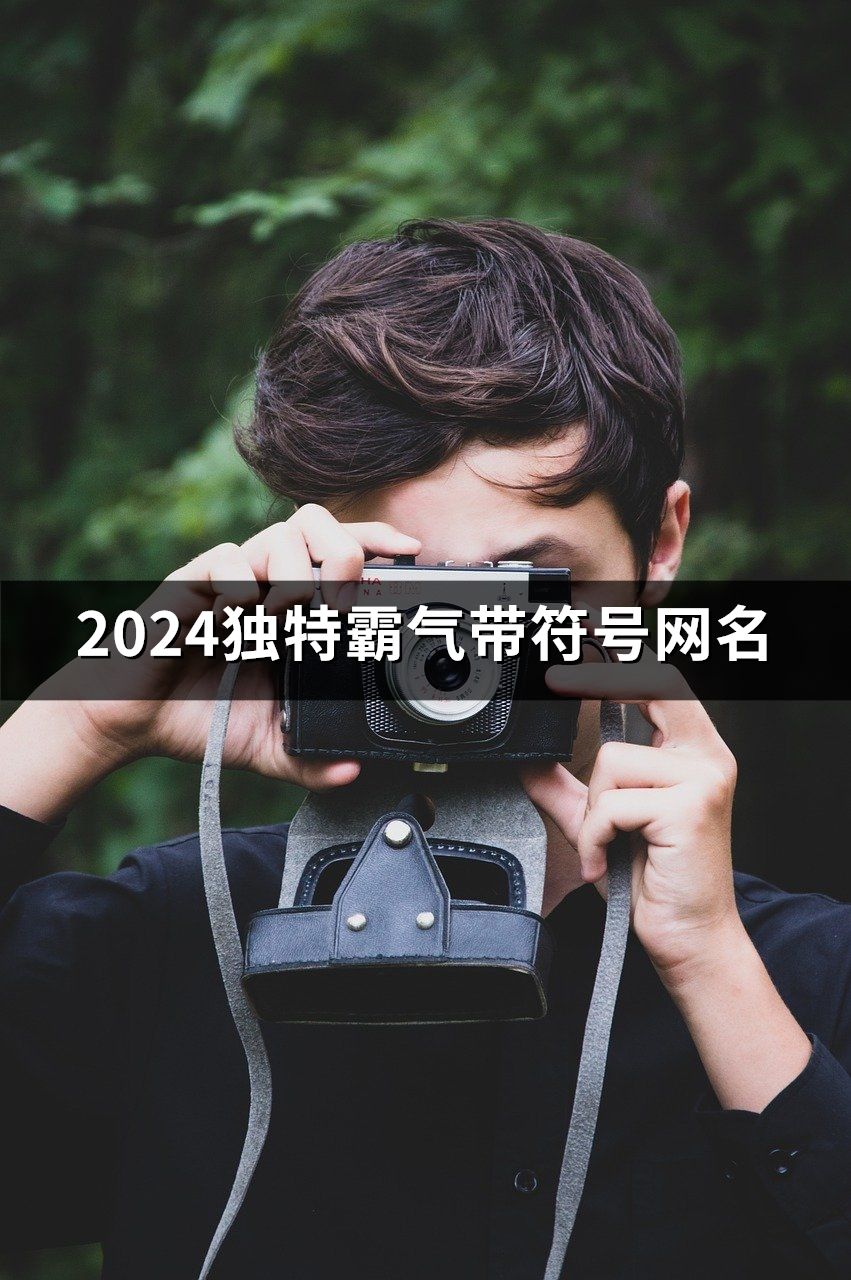 2024独特霸气带符号网名(151个)