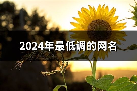 2024年最低调的网名(精选128个)