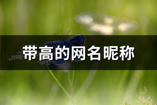 带高的网名昵称(158个)
