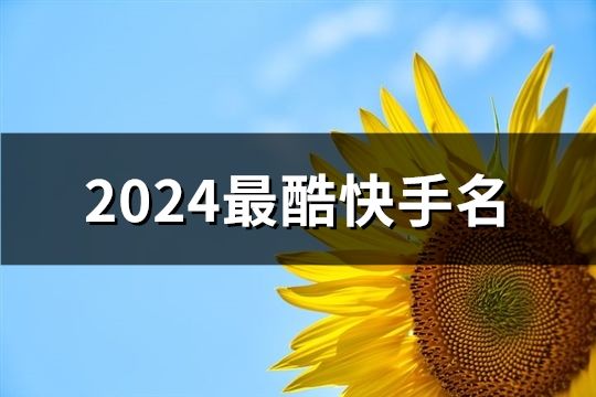 2024最酷快手名(共47个)