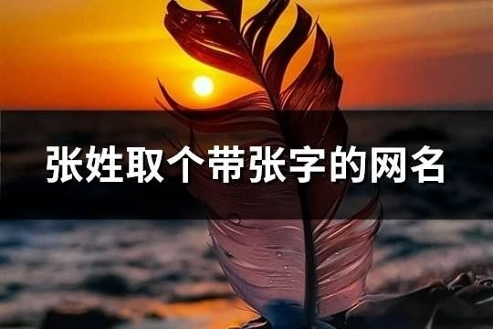 张姓取个带张字的网名(76个)