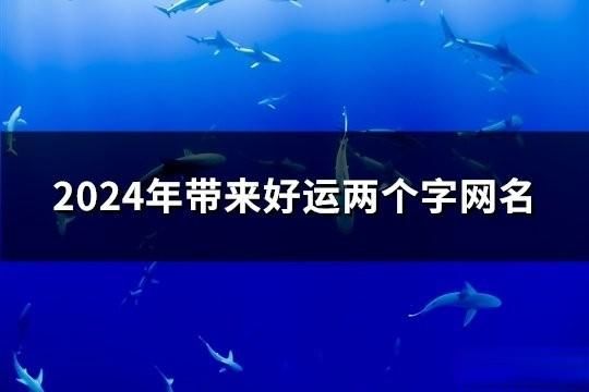 2024年带来好运两个字网名(共190个)