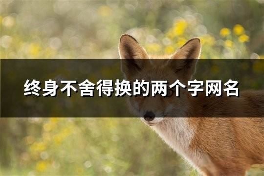 终身不舍得换的两个字网名(97个)