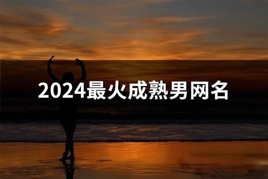2024最火成熟男网名(1094个)