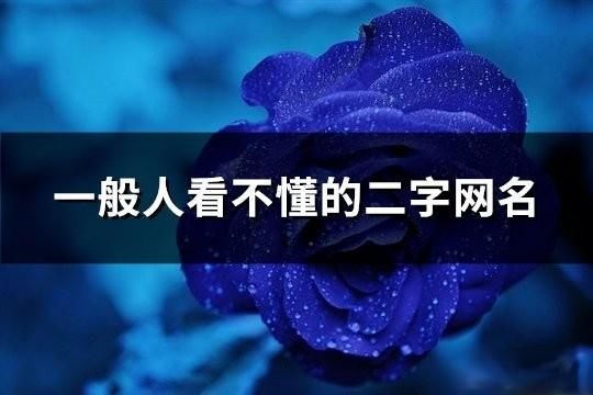 一般人看不懂的二字网名(共176个)