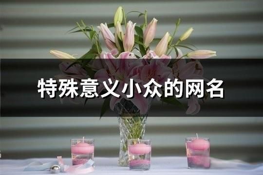 特殊意义小众的网名(共194个)