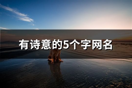 有诗意的5个字网名(精选142个)