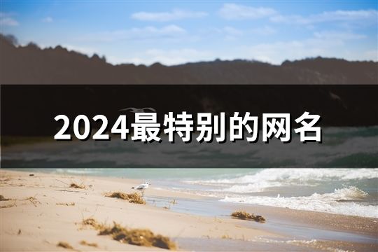 2024最特别的网名(精选131个)