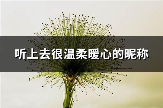 听上去很温柔暖心的昵称(38个)