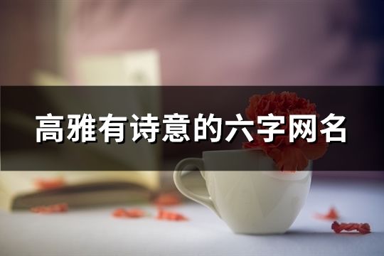 高雅有诗意的六字网名(共37个)