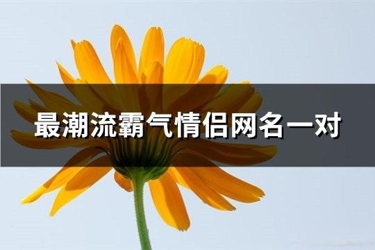 最潮流霸气情侣网名一对(共91对)