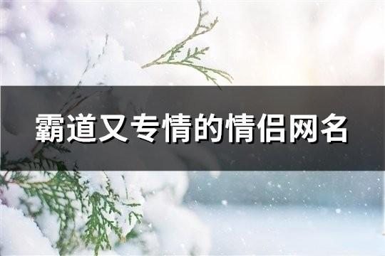 霸道又专情的情侣网名(共154对)
