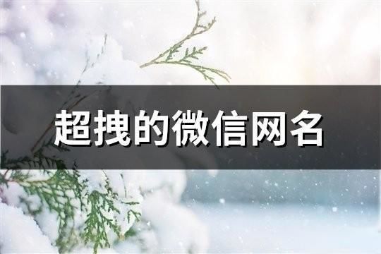 超拽的微信网名(共108个)