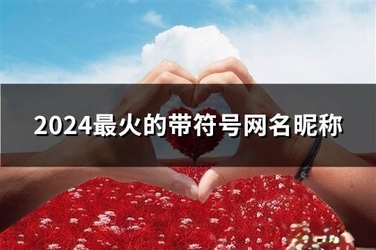 2024最火的带符号网名昵称(精选66个)