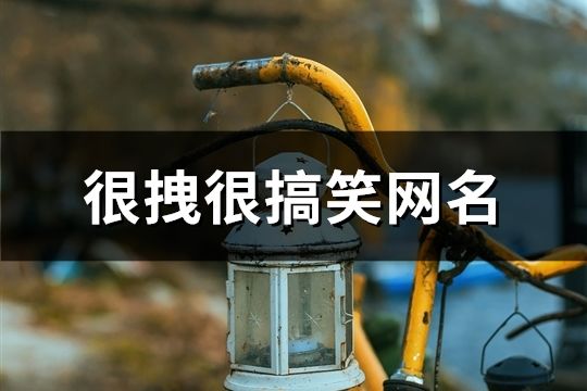 很拽很搞笑网名(共128个)