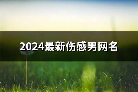 2024最新伤感男网名(120个)