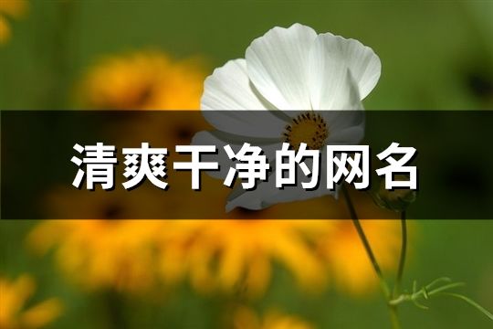 清爽干净的网名(精选168个)