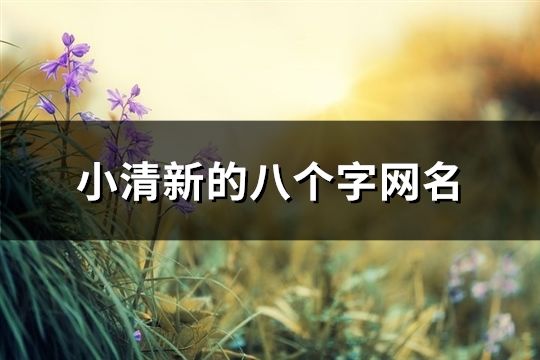 小清新的八个字网名(184个)