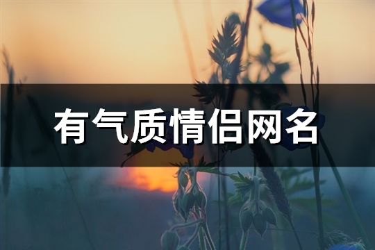 有气质情侣网名(共62对)