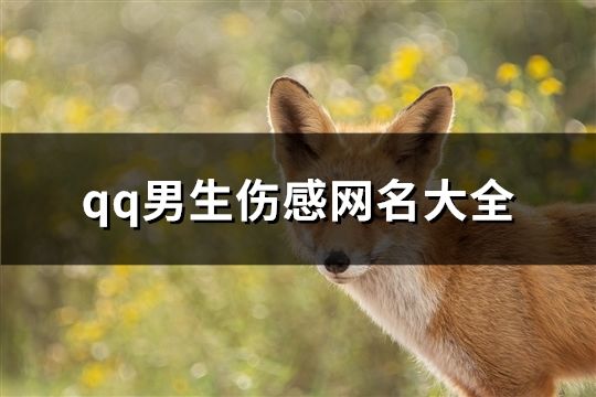 qq男生伤感网名大全(共151个)