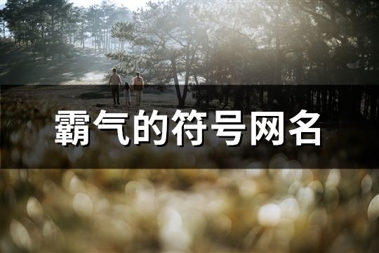 霸气的符号网名(共158个)