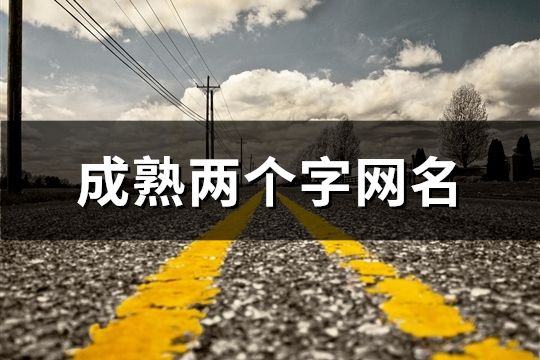 成熟两个字网名(精选71个)