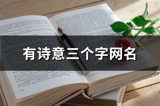 有诗意三个字网名(107个)