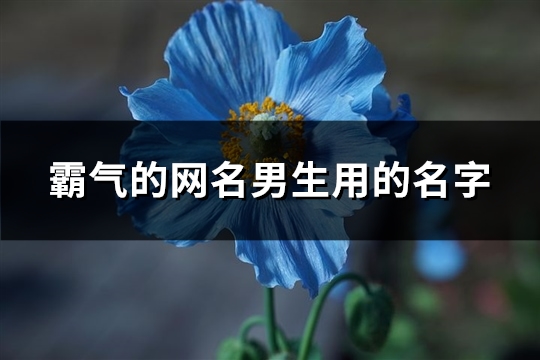 霸气的网名男生用的名字(共1086个)